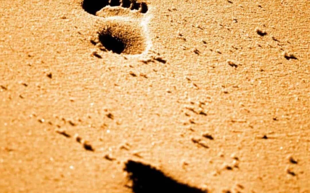 klima-fussabdruck-spuren-im-sand