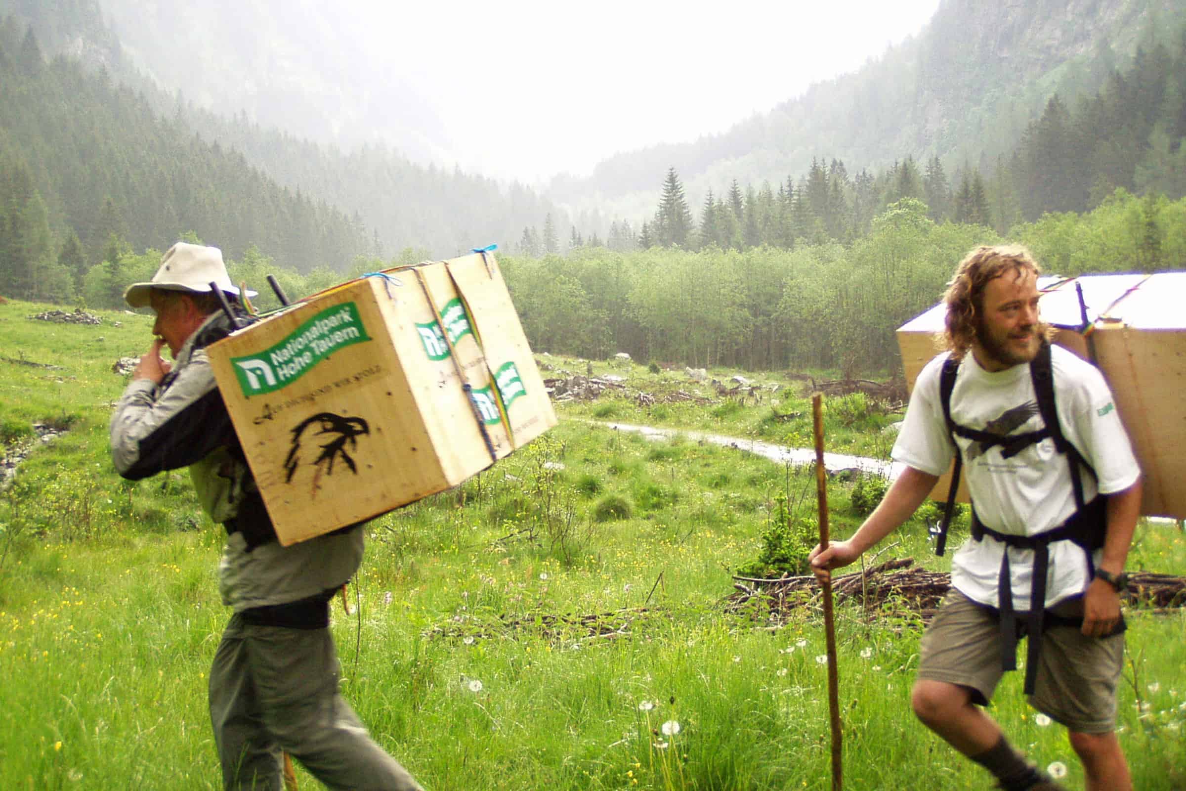 Bartgeierfreilassung_WWalter_MKnollseisen(c)WWF WWF Österreich Geschäftsführerin Andrea Johanides bei der Montage einer Wildtierkamera