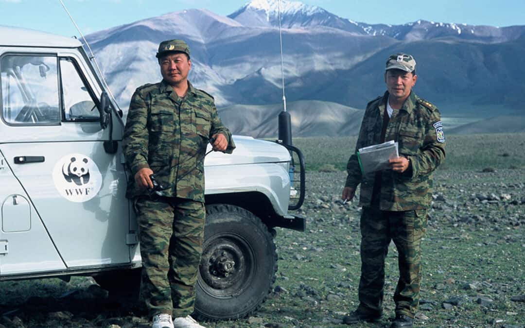 schneeleoparden helfen