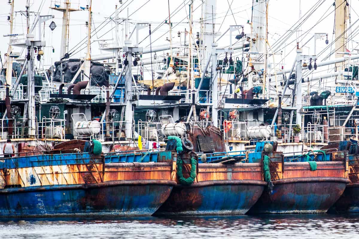 wegen illegalen Fischfangs stillgelegte Boote in Indonesien (c) James Morgan / WWF-US wegen illegalen Fischfangs stillgelegte Boote in Indonesien