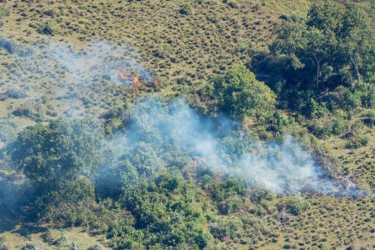 Brennender Wald in Mato Grosso do Sul, Brasilien (c) Jaime Rojo / WWF-US rennender Wald in Mato Grosso do Sul, Brasilien (c) Jaime Rojo / WWF-US