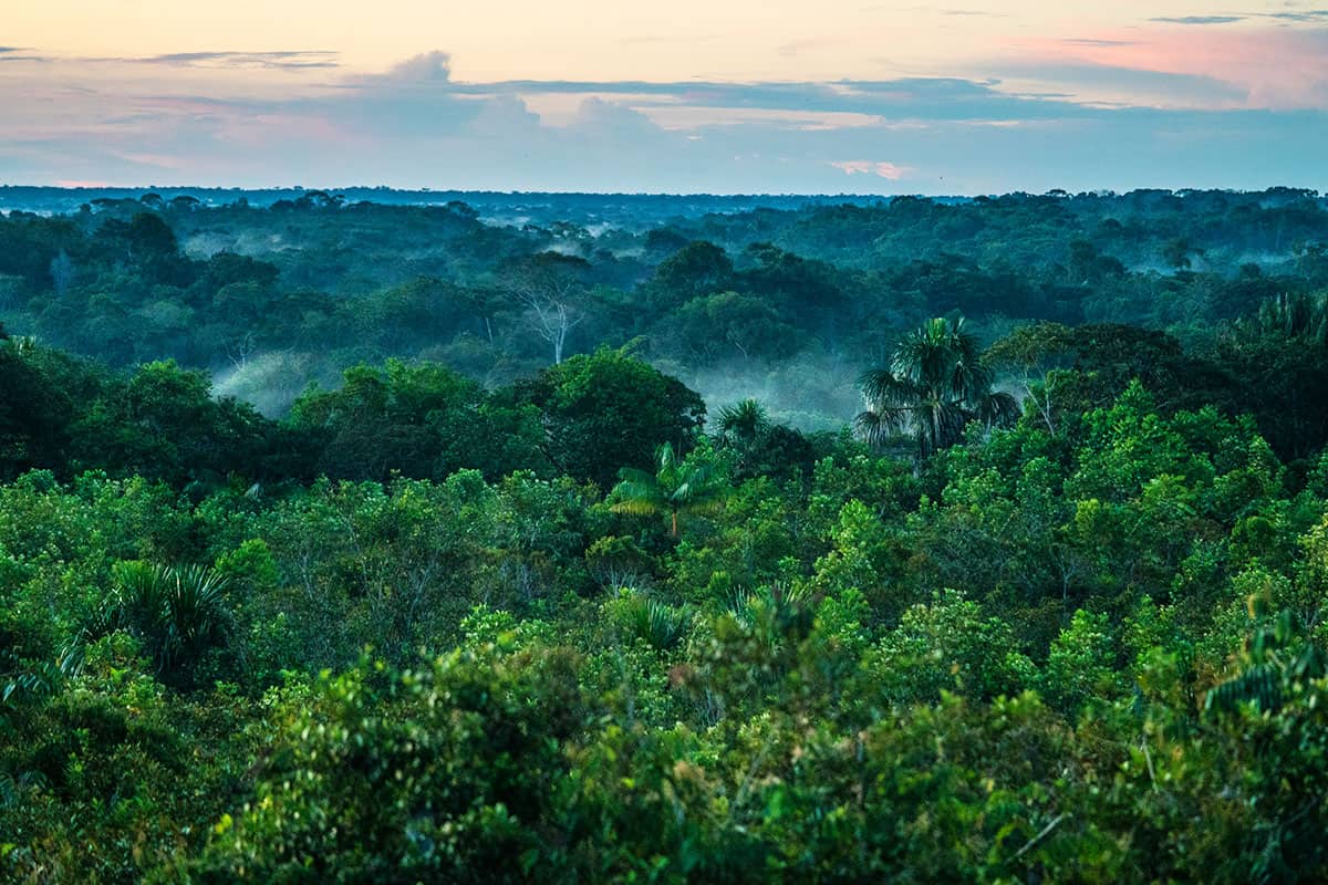 Luftaufnahme Sonnenuntergang über dem Amazoans in La Chorrera, Kolumbien