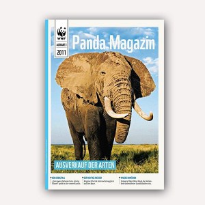 Pandamagazin Elefant