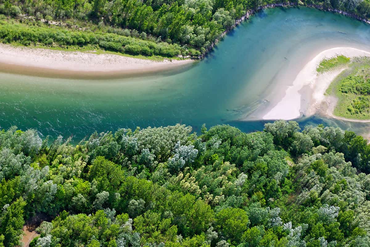 Revitalisierung an der Drau. (c) Goran Šafarek Auf dem Bild ist eine Biegung der Drau zu sehen. Das Wasser ist blautürkis und das Ufer ist dicht bewachsen.