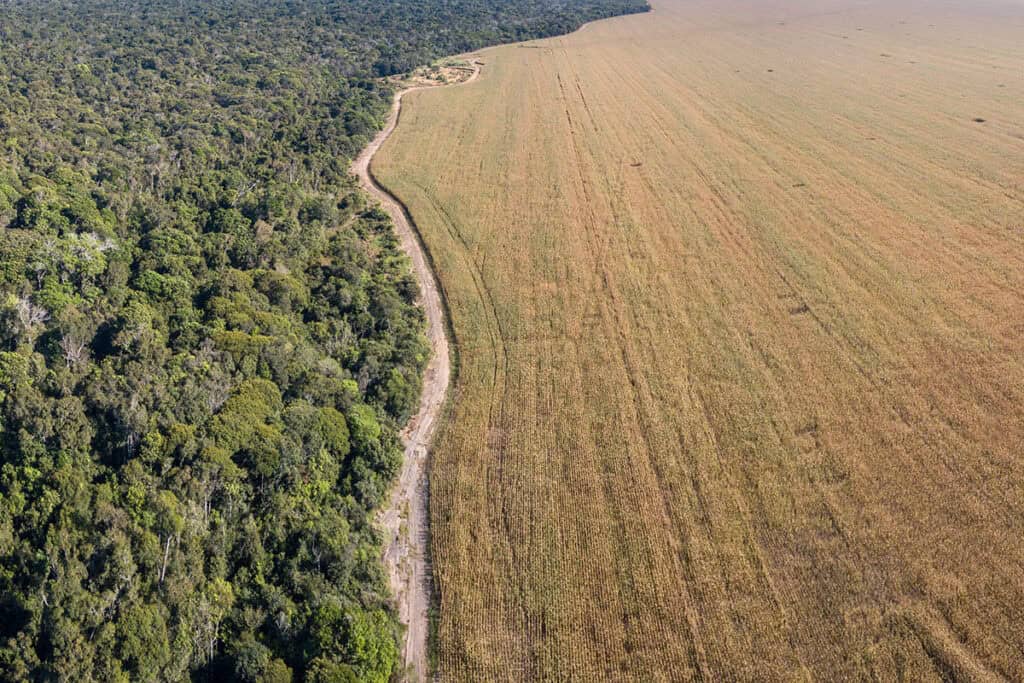 Sojafarm im Amazonas-Regenwald