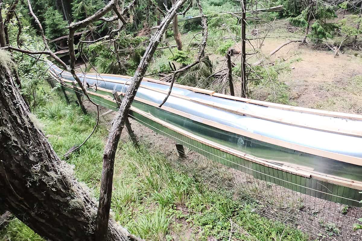 Zaun von der Auffangstation für Waisenbären © WWF-Romania/Bear Again Zaun von der Auffangstation für Waisenbären