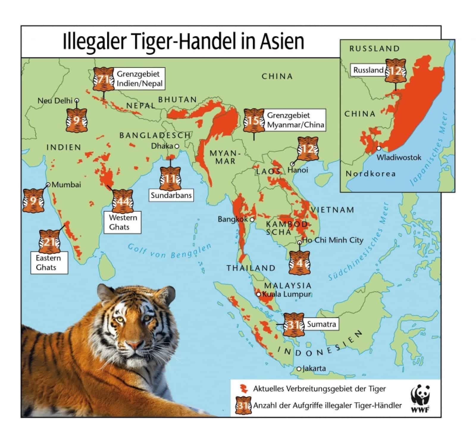 Illegaler Tigerhandel in Asien Grafik, © by WWF Illegaler Tigerhandel in Asien Grafik, © by WWF