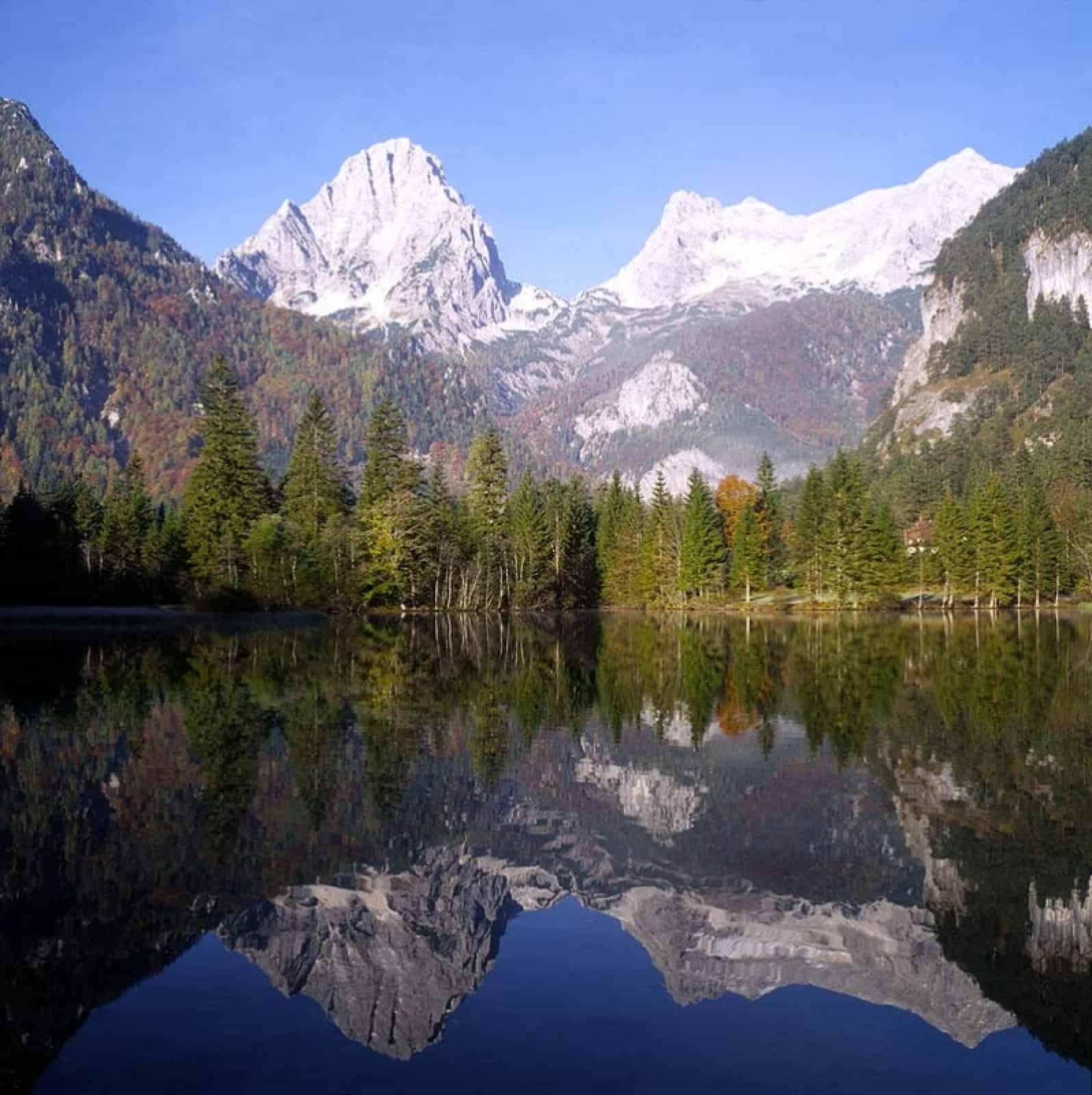 In den Kalkalpen © G. Zimmert / 4nature alpen-mit-wald-und-wasser-wwf-wildnis-exkursion-kalkalpen