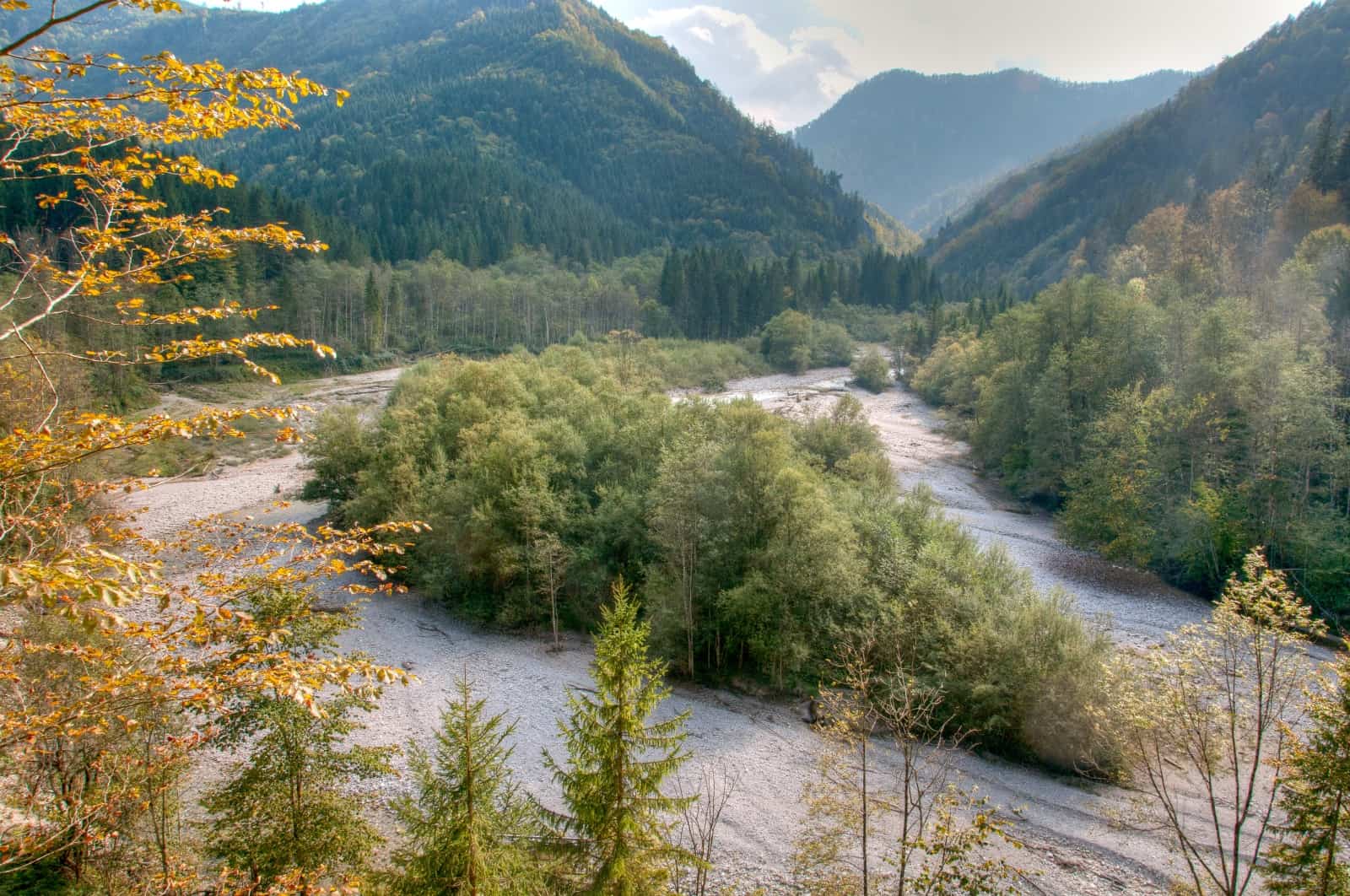 Wildnis, © by G. Egger/WWF AT Wildnis, © by G. Egger/WWF AT