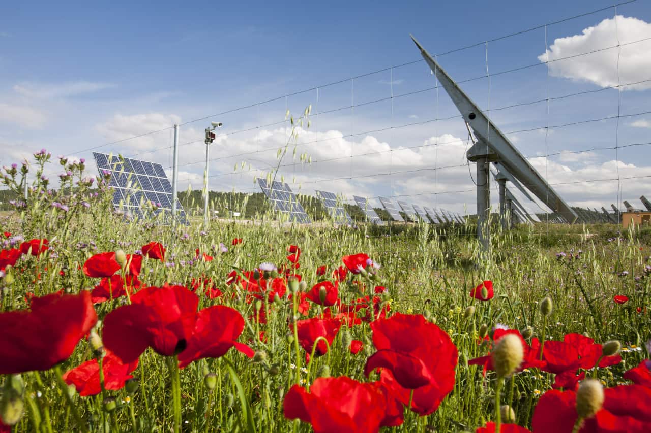 Erneuerbare Energie trägt zum Klimaschutz bei wie-klima-schueten-erneuerbare-energie
