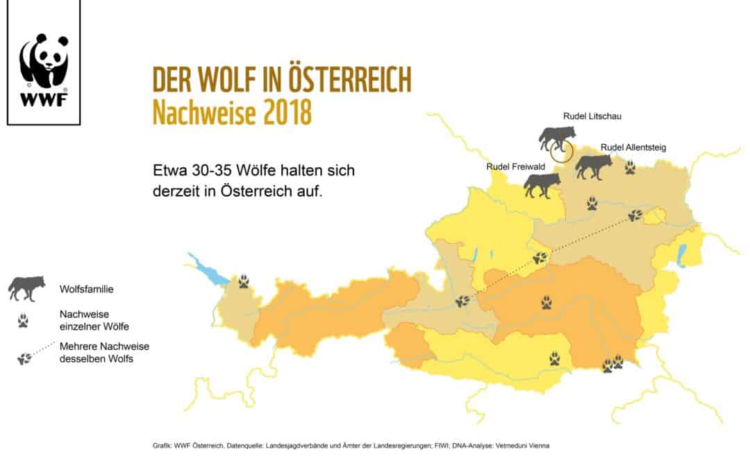 wofl-verbreitung-karte-oesterreich