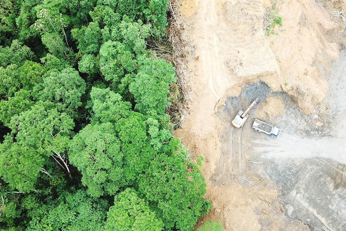 Deforestation Regenwald bei Borneo © Shutterstock / Rich Carey / WWF-Sweden Deforestation Regenwald bei Borneo