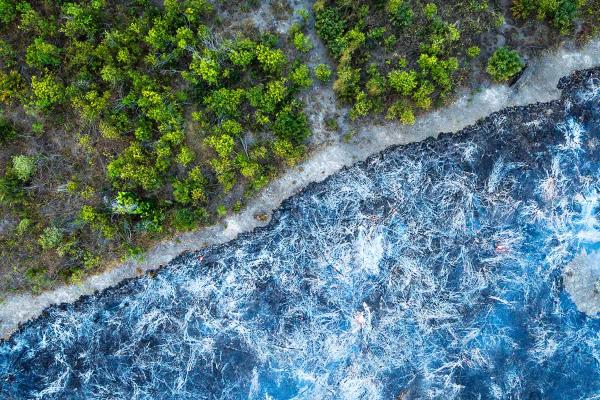 Luftaufnahme Wald in Brasilien © Day's Edge Productions / WWF-US Luftaufnahme eines Waldes mit einer Hälfte gesund und einer Hälfte brennend in Brasilien