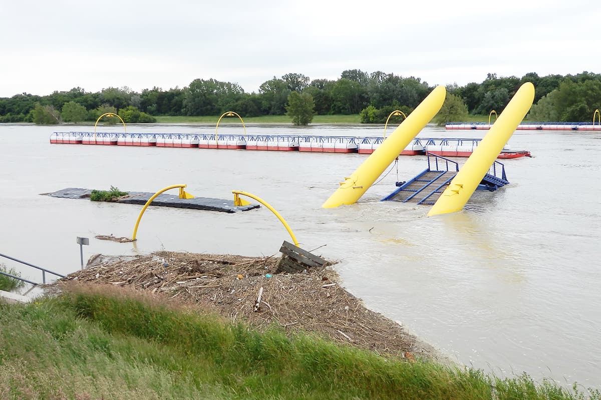 Hochwasser an der Donau (c)FrankoPetri Hochwasser