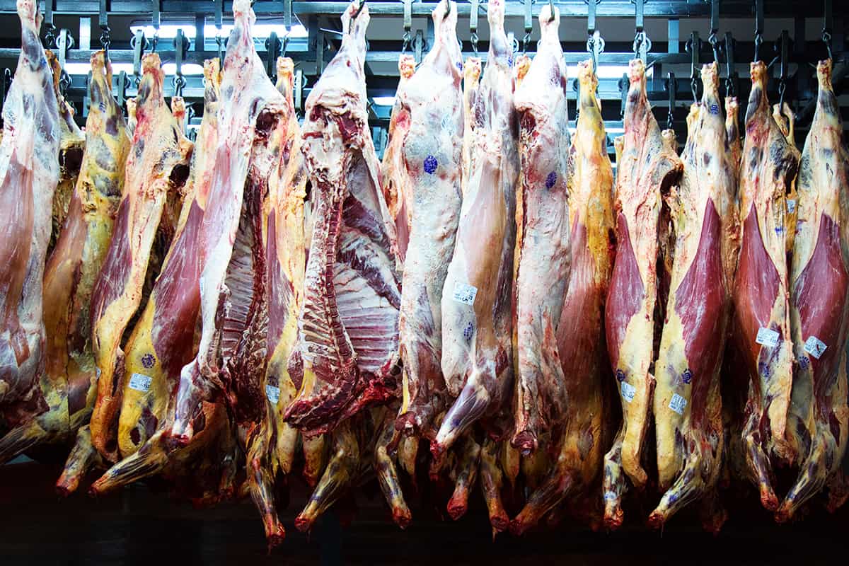 Fleischkonsum (c)JasonHouston Ernährung, Fleisch