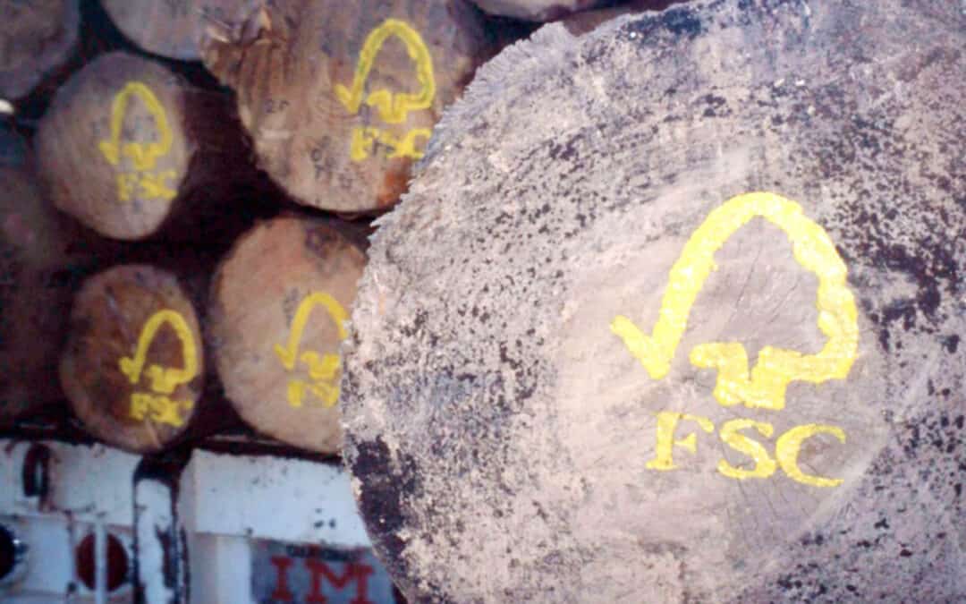 Holzstämme mit FSC Logo
