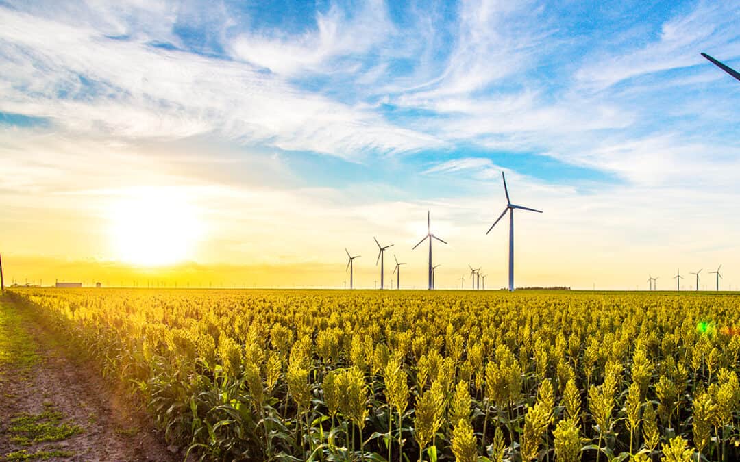 Auf dem Bild ist eine Landschaft zu sehen, in der im Hintergrund einige Windräder betrieben werden. Am Horizont geht gerade die Sonne unter.