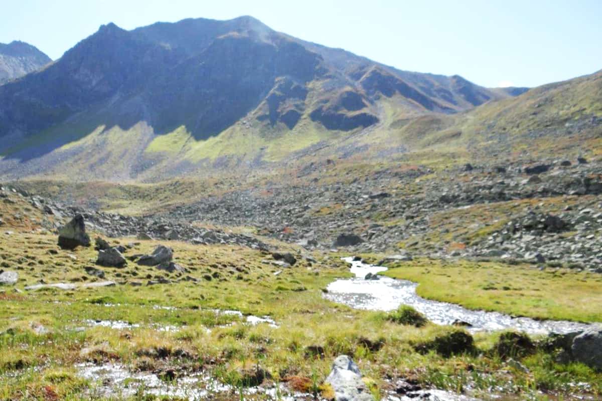 Moor im Platzertal in Tirol. (c) Elisabeth Soetz/WWF