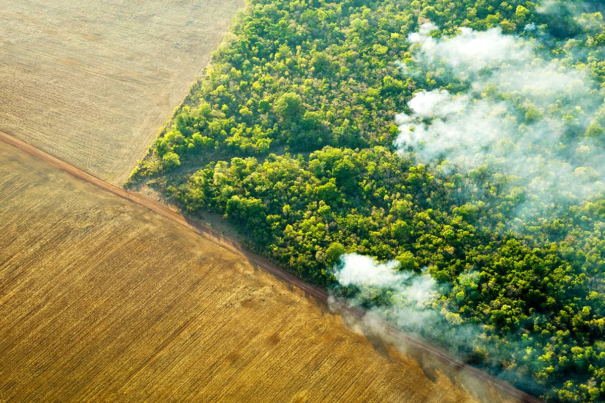 Ein unkontrollierter Waldbrand bei Feldern in Brasilien © Day's Edge Productions / WWF-US Ein unkontrollierter Waldbrand bei Feldern in Brasilien