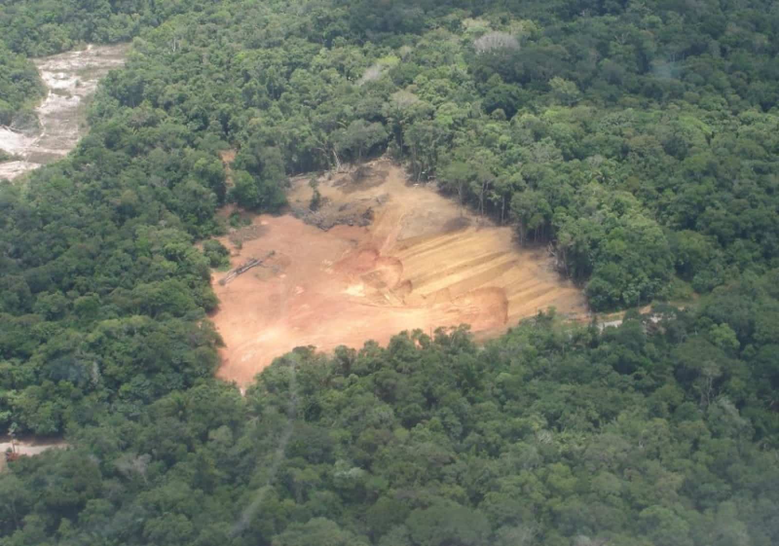 Abholzung – Amazonas