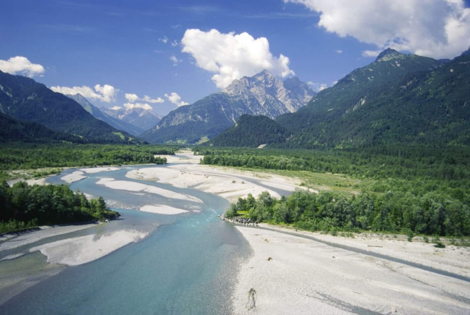 WWF Lech