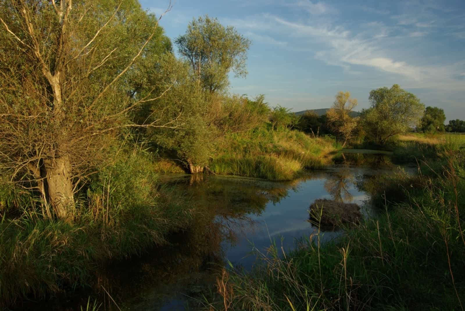 Auenlandschaft, © by WWF Auenlandschaft, © by WWF