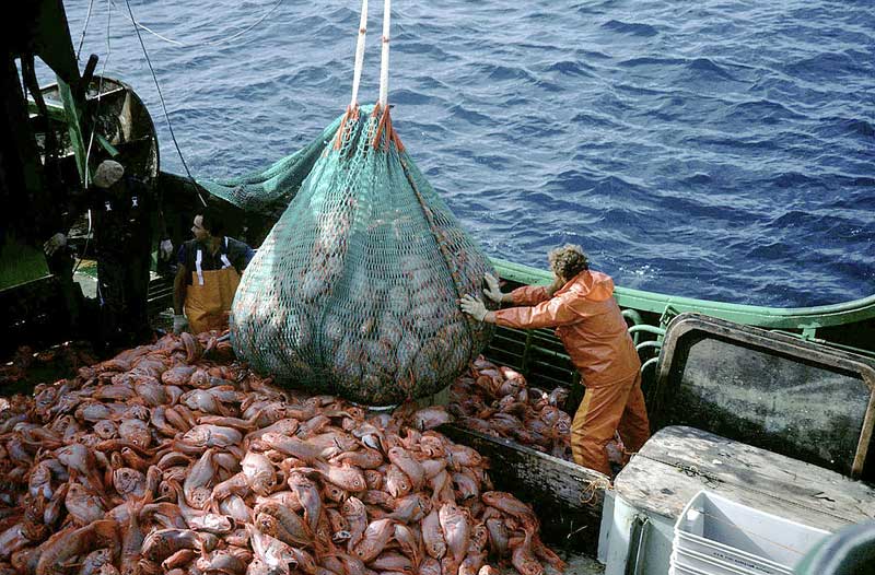 Industrielle Fischerei, © by Australian Fisheries Management Authority Industrielle Fischerei, © by Australian Fisheries Management Authority