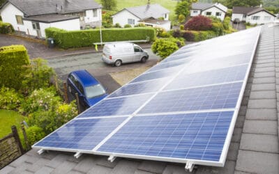 WWF zum EAG: Ökostrom-Ausbau muss mit Energiesparen und Naturschutz einhergehen