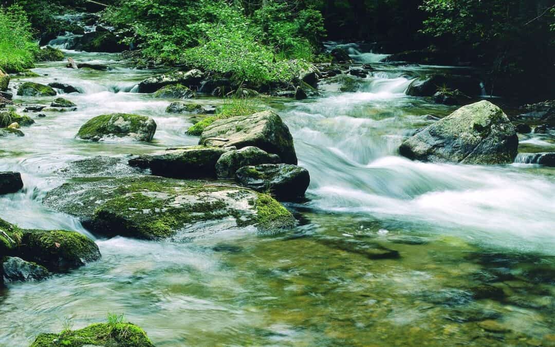 WWF zum EAG: Neue Schutzkriterien für klimafitte Flüsse sind dringend notwendig