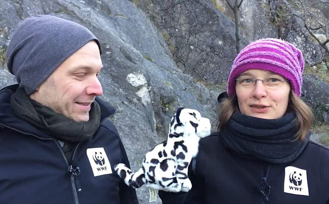 infos-schneeleoparden-team-panda-video