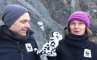 Video: Der Schneeleopard