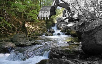WWF warnt: Energiebranche will sogar in Schutzgebieten neue Kraftwerke durchboxen