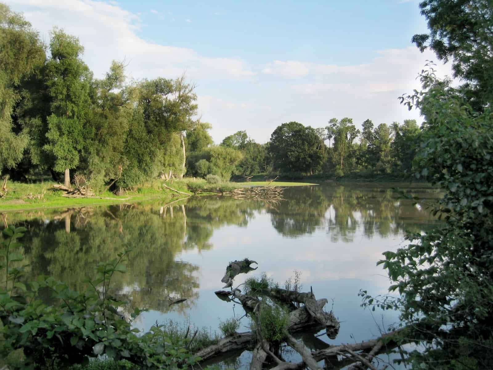 Augewässer WWF Reservat , © by © M. Stelzhammer Augewässer WWF Reservat , © by © M. Stelzhammer