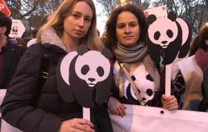 Jenny Bauderer und Lisa Plattner vom WWF Österreich auf der Klimakonferenz in Madrid, © by WWF Jenny Bauderer und Lisa Plattner vom WWF Österreich auf der Klimakonferenz in Madrid, © by WWF
