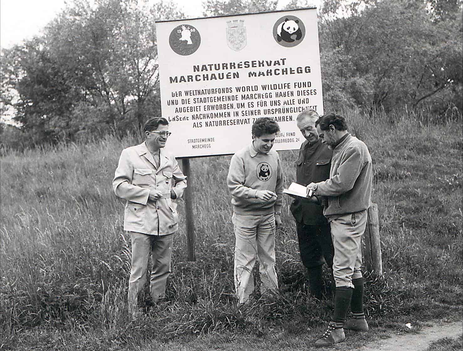 1970er Hand Freundl, erster WWF Österreich Geschäftsführer (2.v.r.) mit Weggefährten in Marchegg, © by WWF Österreich 1970er Hand Freundl, erster WWF Österreich Geschäftsführer (2.v.r.) mit Weggefährten in Marchegg, © by WWF Österreich