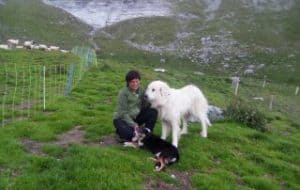 Astrid mit zweien ihrer Hunde, © by A. Summerer Astrid mit zweien ihrer Hunde, © by A. Summerer