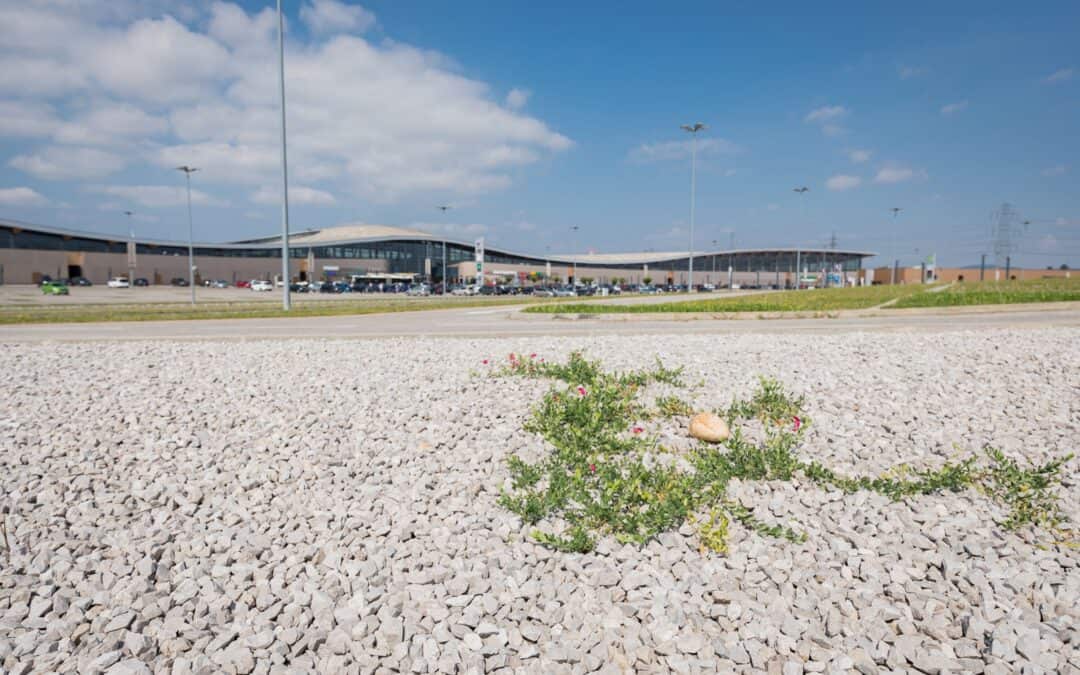 Neue WWF-Umfrage: 86 Prozent verlangen strengere Gesetze gegen den Flächenfraß