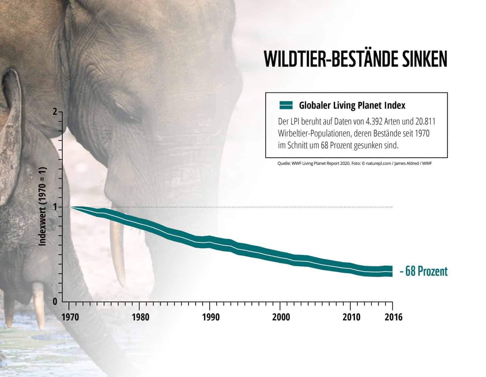 Artenvielfalt geht zurück, © by @WWF, Living Planet Report 2020 Artenvielfalt geht zurück, © by @WWF, Living Planet Report 2020