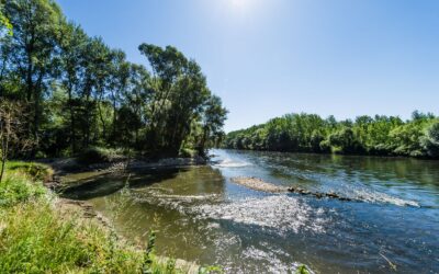 UNESCO-Auszeichnung für Biosphärenpark Unteres Murtal – WWF gratuliert zu Naturschutzerfolg