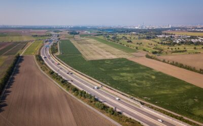 WWF fordert S8-Projektstopp: Negativ-Gutachten ist Alarmsignal