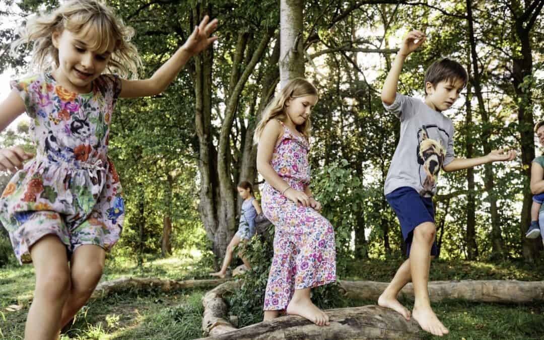 video-wald-kinder-im-wald