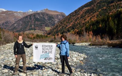Osttirol: Neue Umwelt-Allianz fordert Ausbau-Stopp für alle Kraftwerksprojekte im Isel-Gebiet