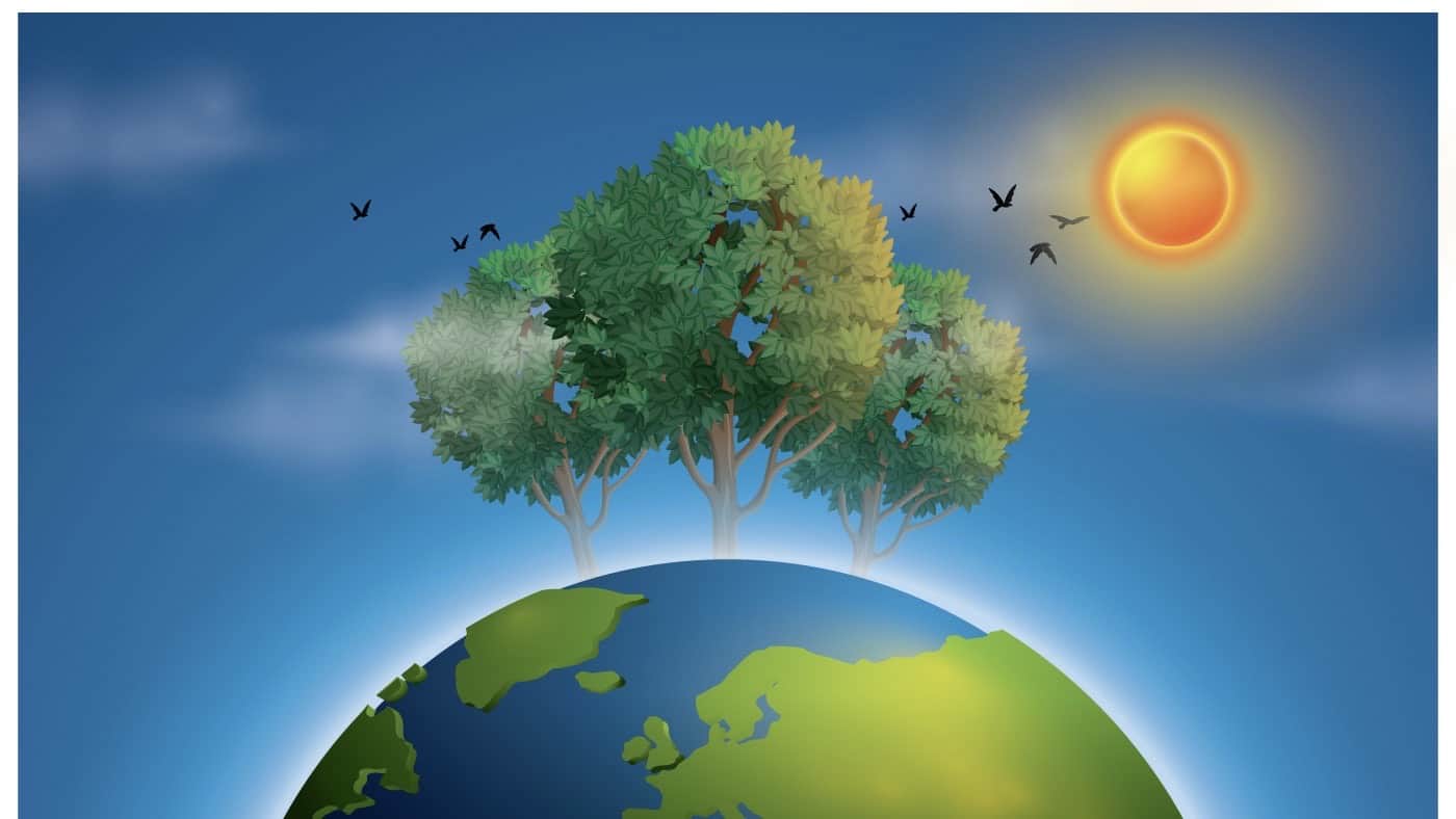 Weltbodentag – der WWF kämpft gegen den Flächenfraß!