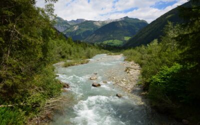 WWF bringt Beschwerde ein: Isel-System durch neues Kraftwerksprojekt am Kipp-Punkt