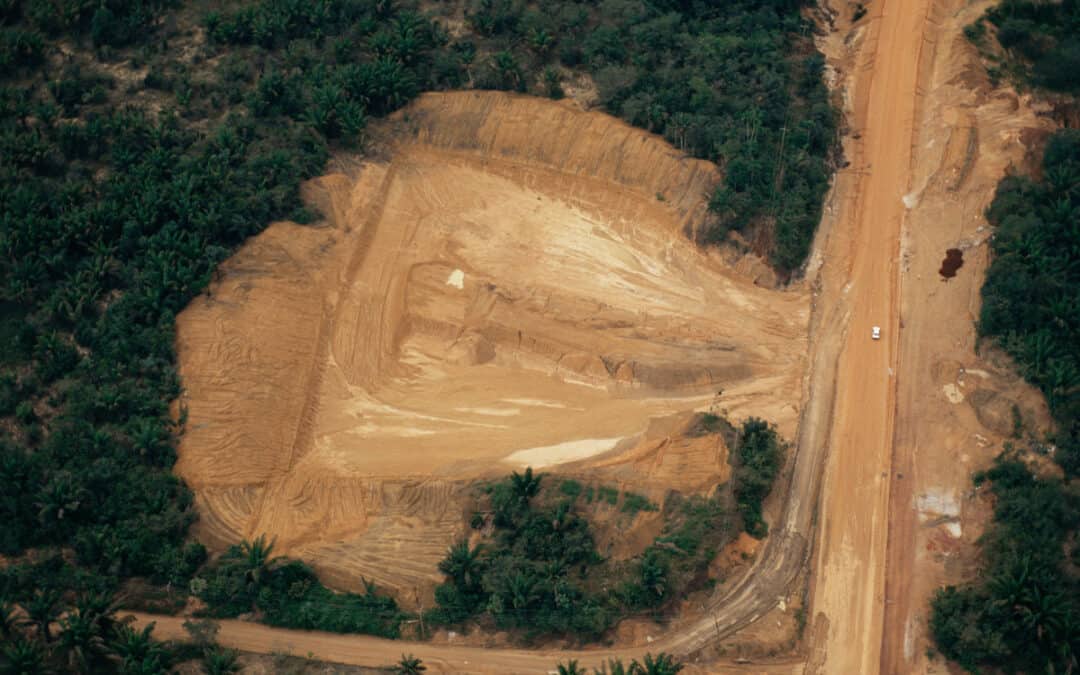 Amazonas-Abholzung erreicht neues Rekordhoch