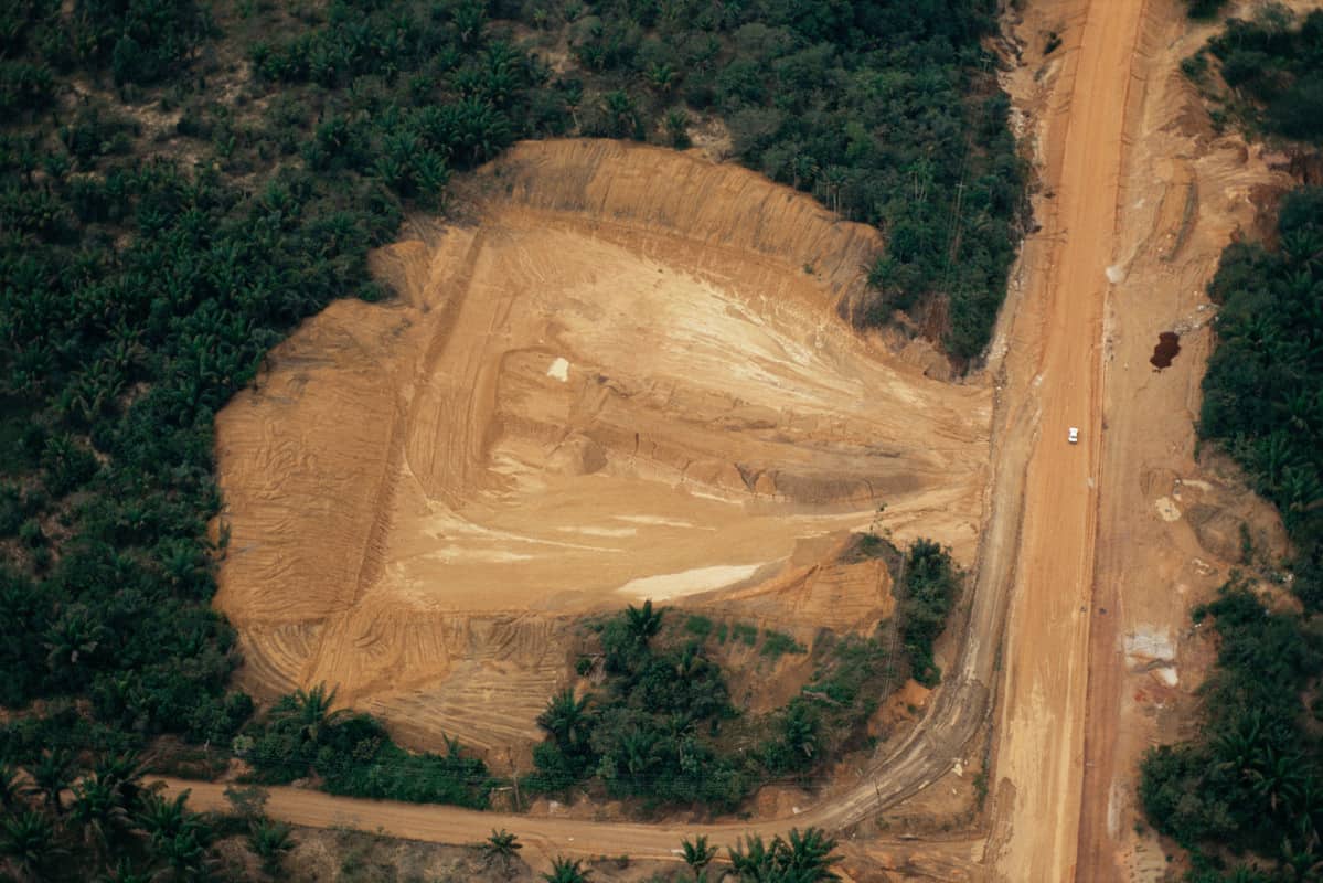 Abholzung, Amazonasregenwald