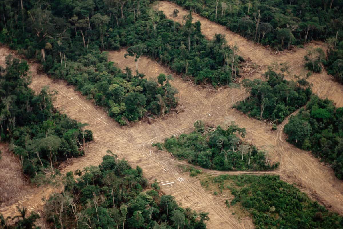 Abholzung, Amazonasregenwald, © by © Staffan Widstrand / WWF Abholzung, Amazonasregenwald, © by © Staffan Widstrand / WWF