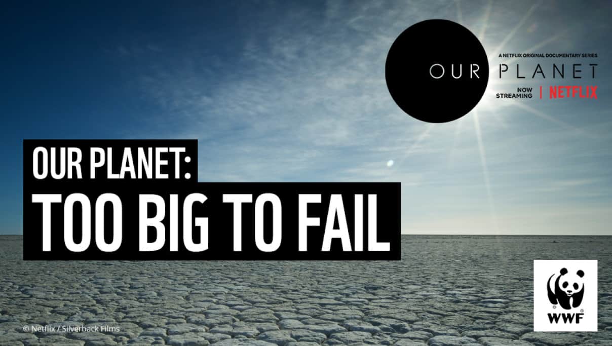 Our Planet