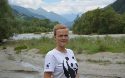 Kraftwerk Schwarzach: WWF fordert Schutz des gesamten Isel-Gebiets