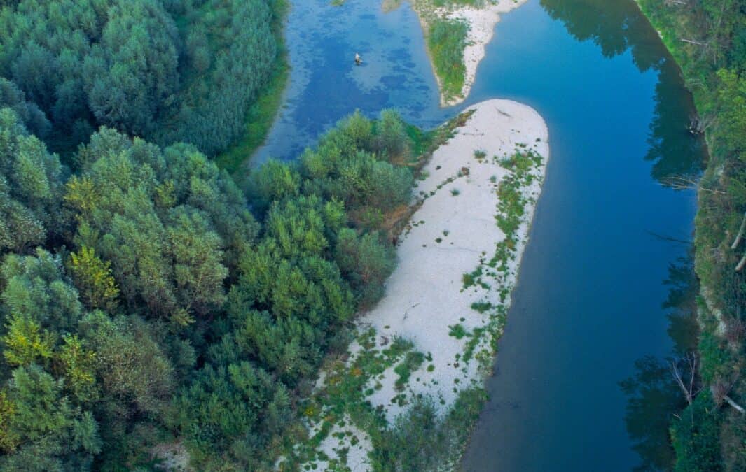 WWF fordert rasche Absage des Lobau-Tunnels